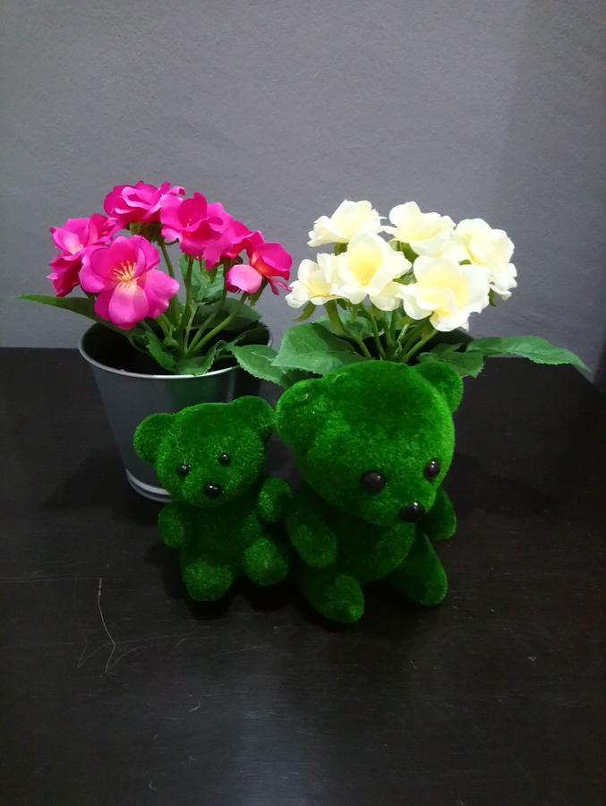 Jb Homestay Bukit Indah Wifi Ciq Mall Legoland Free Parking Джохор-Бару Экстерьер фото