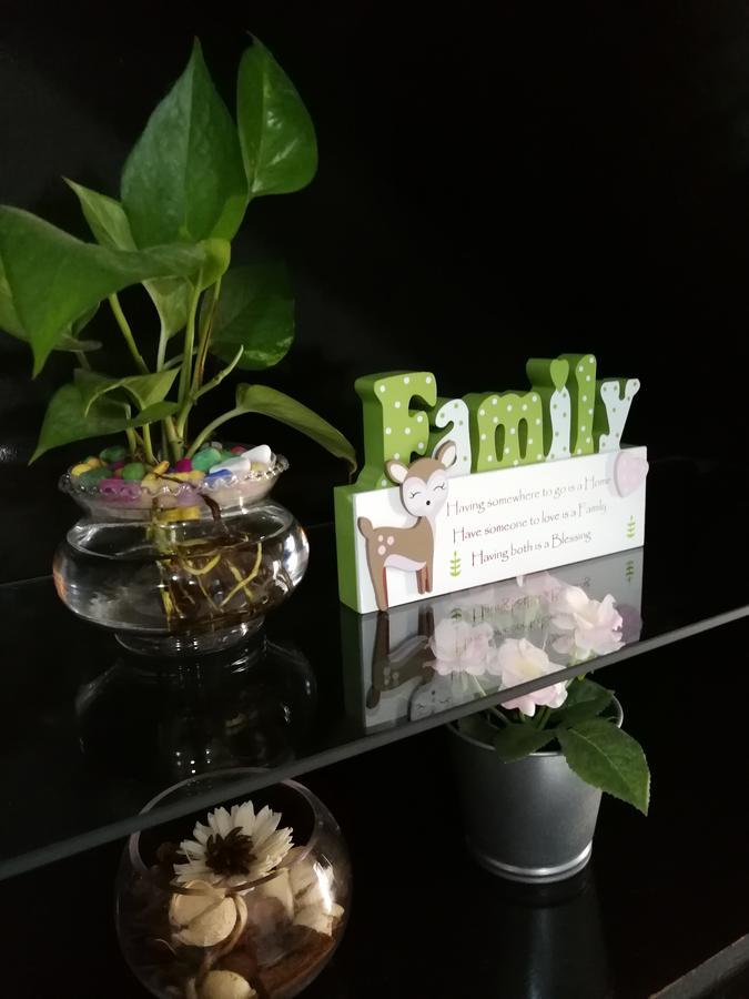 Jb Homestay Bukit Indah Wifi Ciq Mall Legoland Free Parking Джохор-Бару Экстерьер фото
